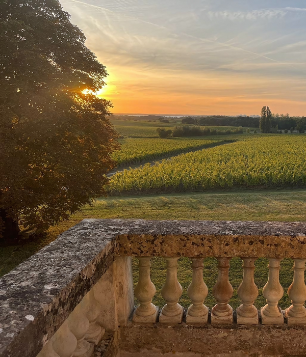 Sunset over a vineyard from a stone balcony with decorative balusters.